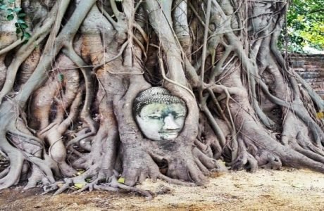 Ayutthaya mahatat Bangkok