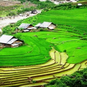 Lao Chai guia en tailandia Sapa Vietnam Lao Chai guia en tailandia Sapa Vietnam