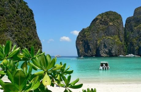 maya bay phiphi español guia en tailandia tours